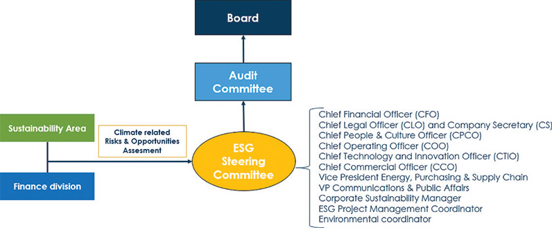 [MISSING IMAGE: fc_board-4clr.jpg]