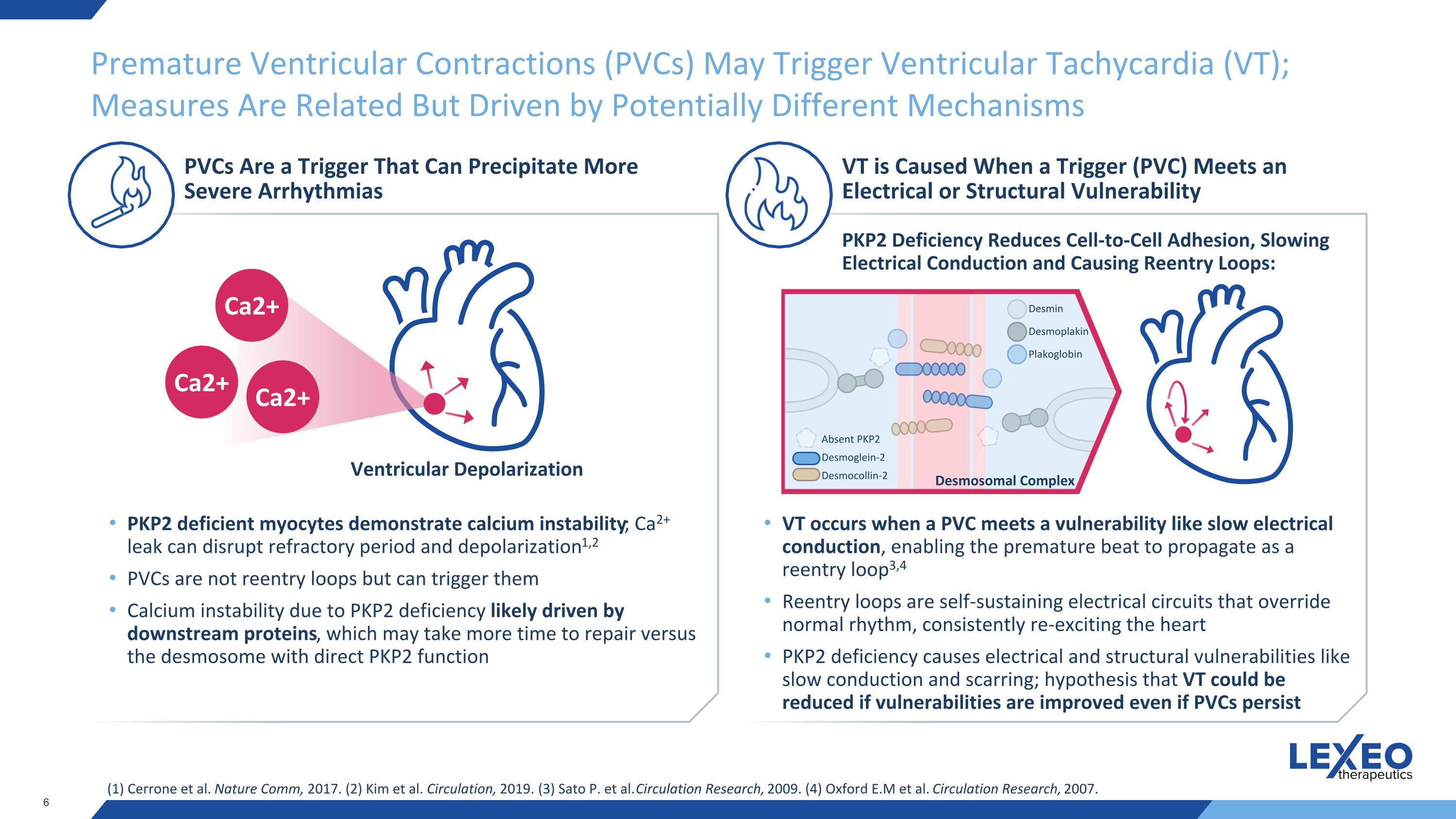 Slide 6